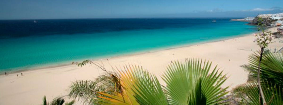 ≫ Vacaciones Fuerteventura con incluido |