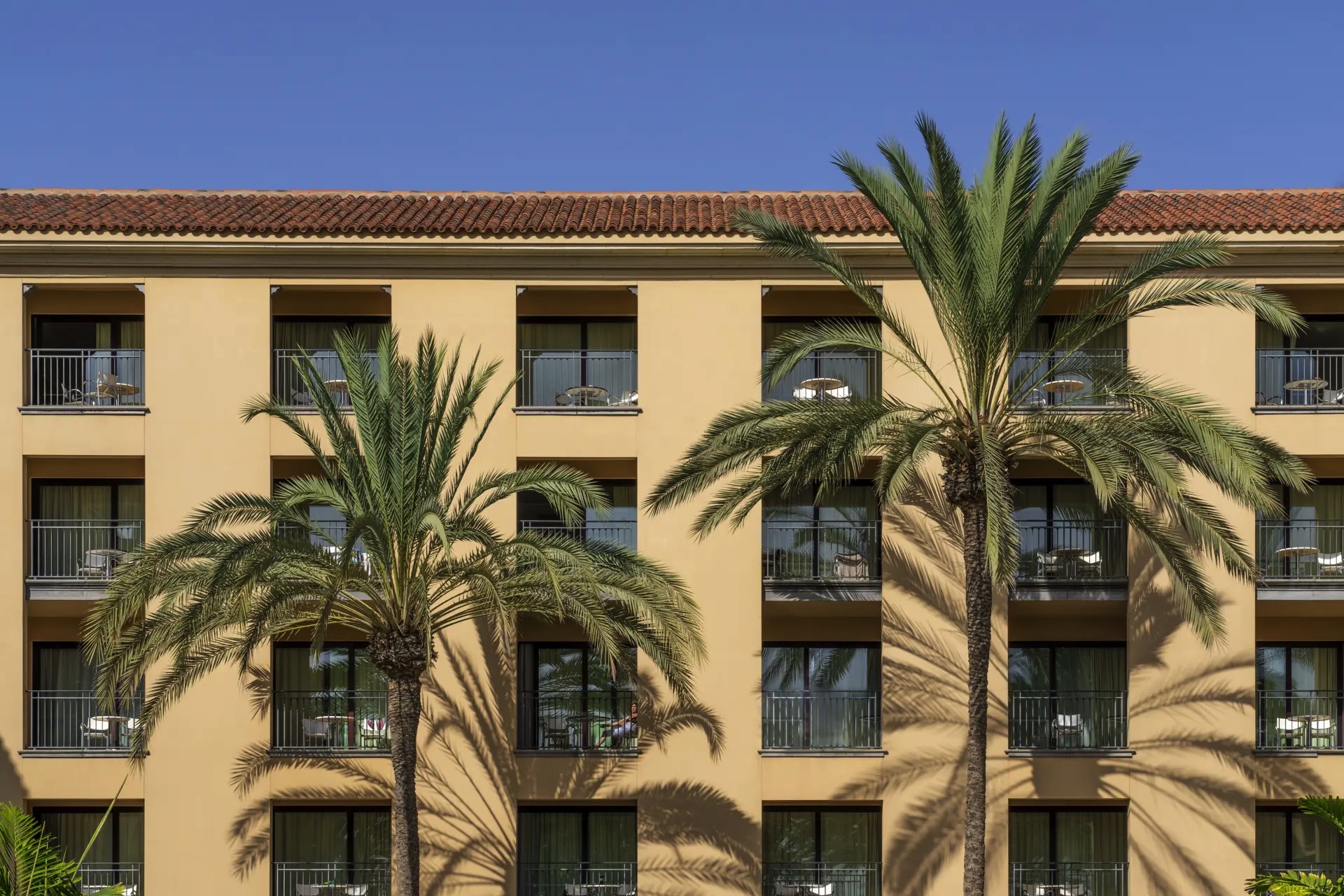 photos lopesan costa meloneras facade