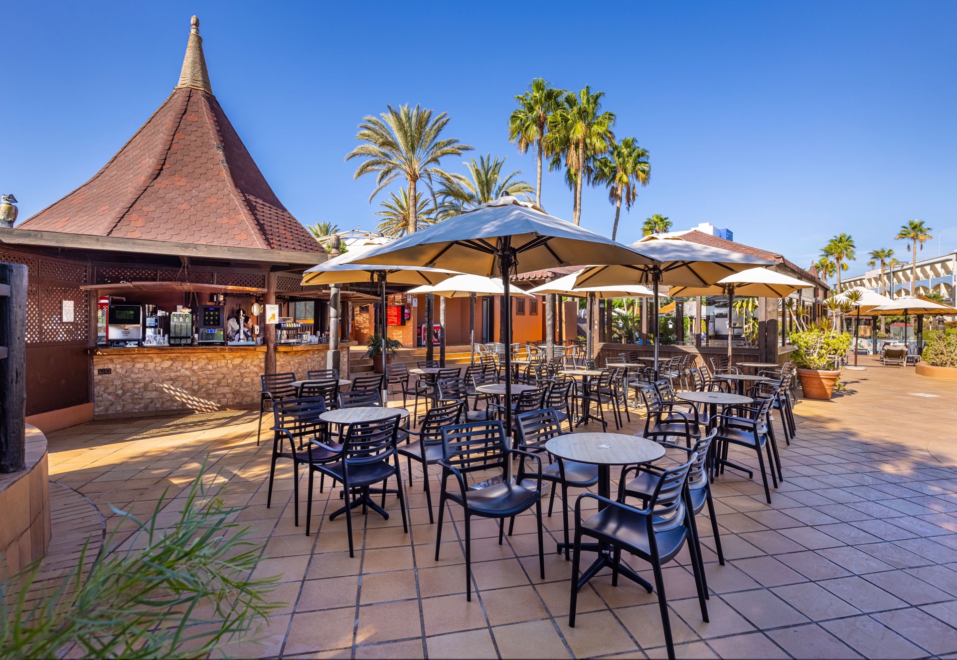 bares piscina ifa altamarena hotel