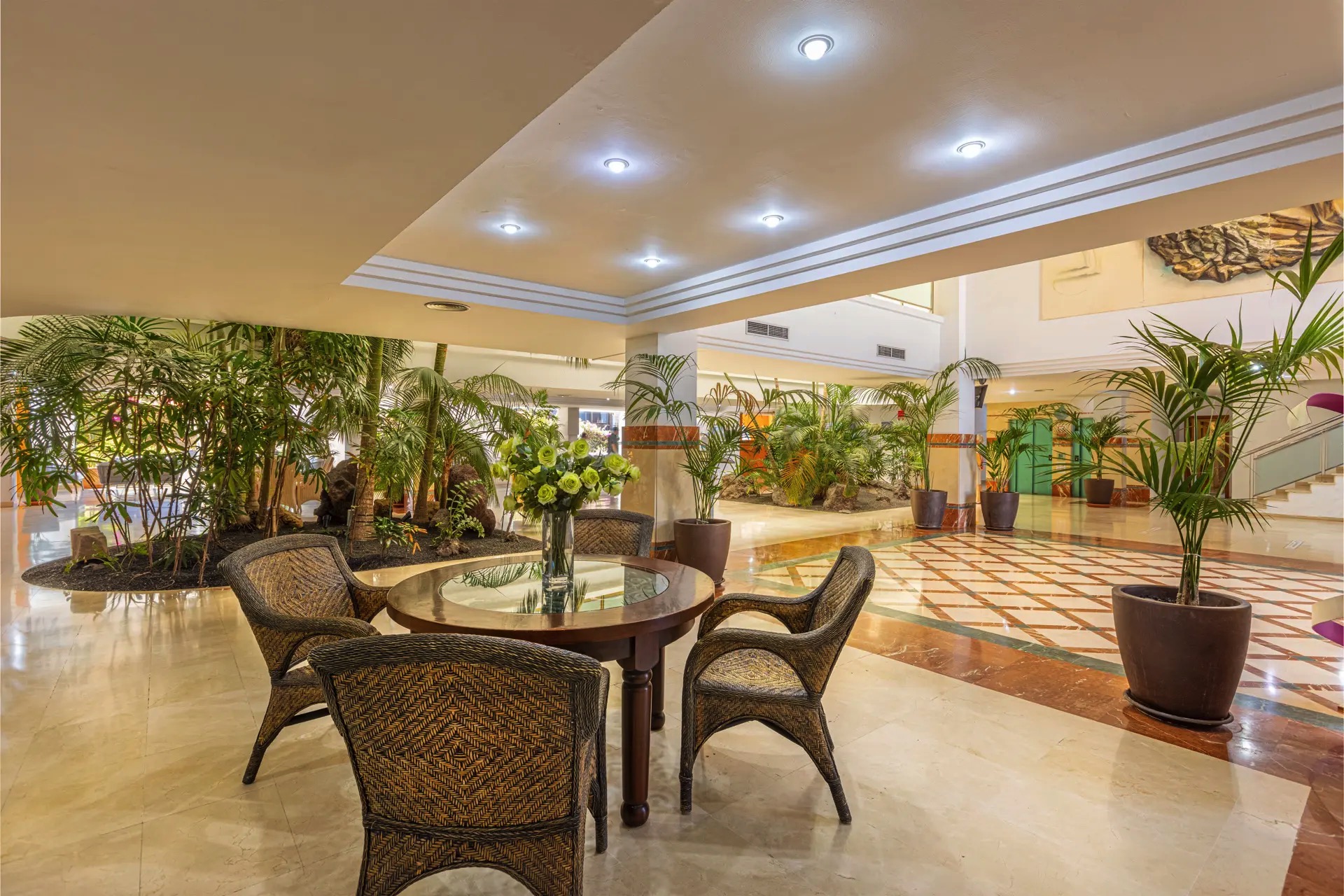 entrada ifa altamarena fotos