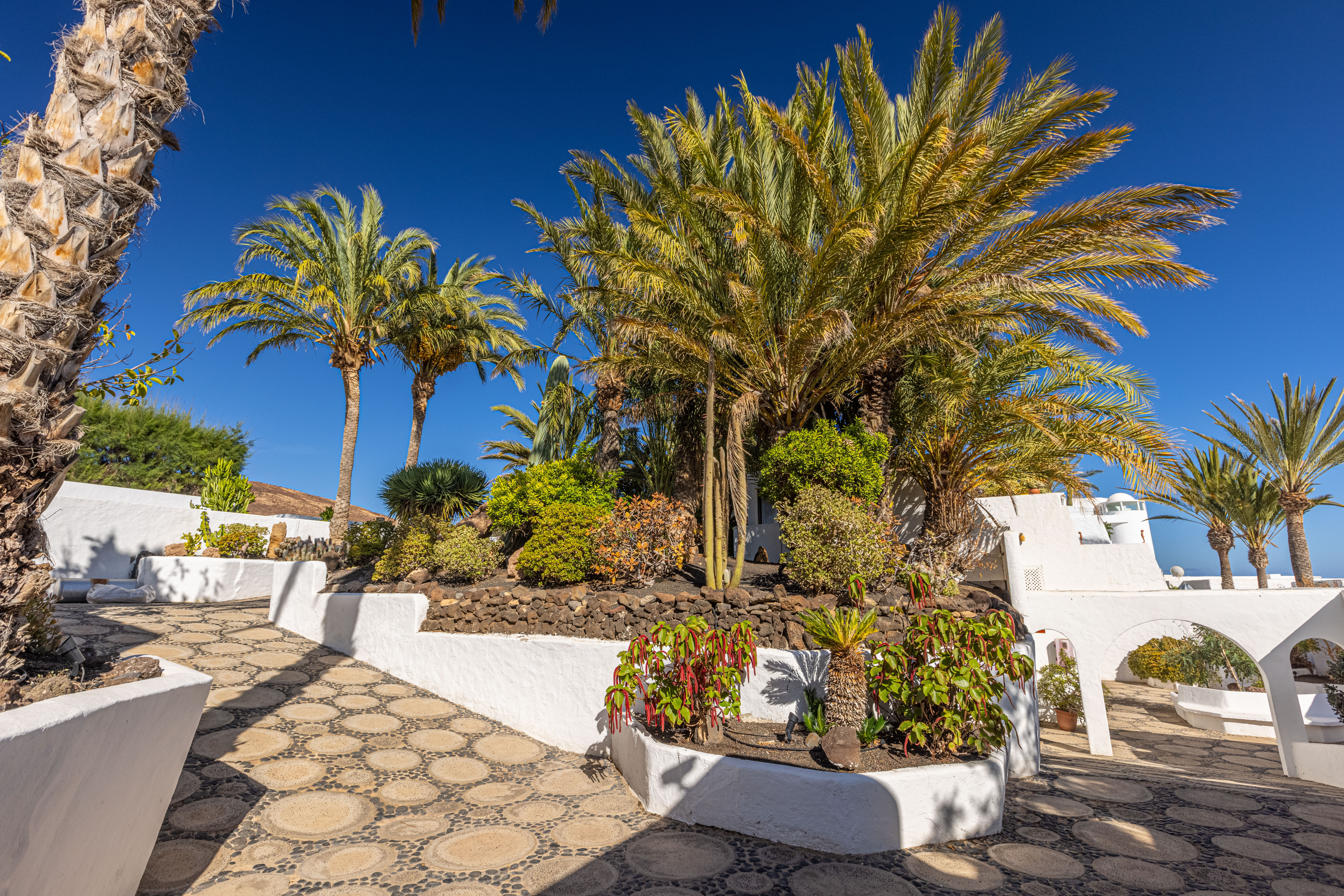 servicio hotel villas fuerteventura