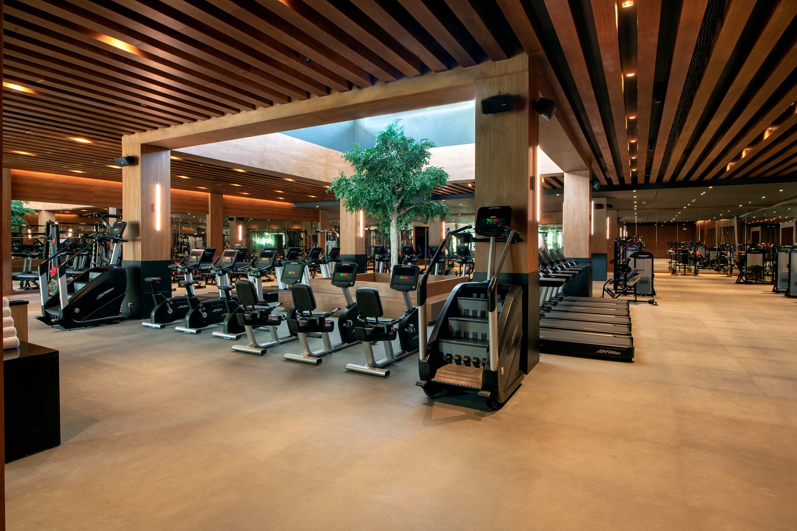 gimnasio spa & wellness lopesan costa bávaro resort