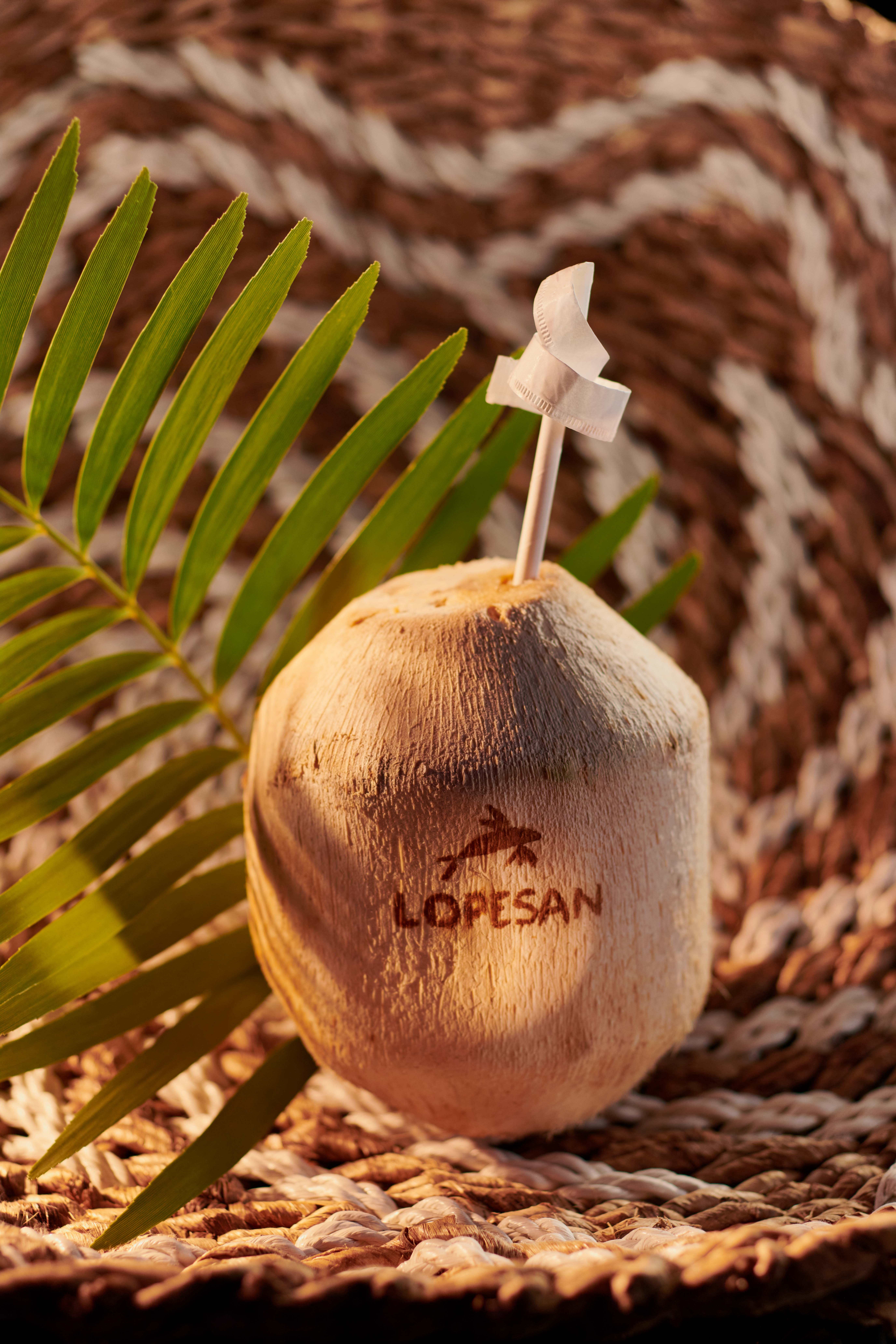 bar piscina lopesan costa bávaro resort spa & casino la perla