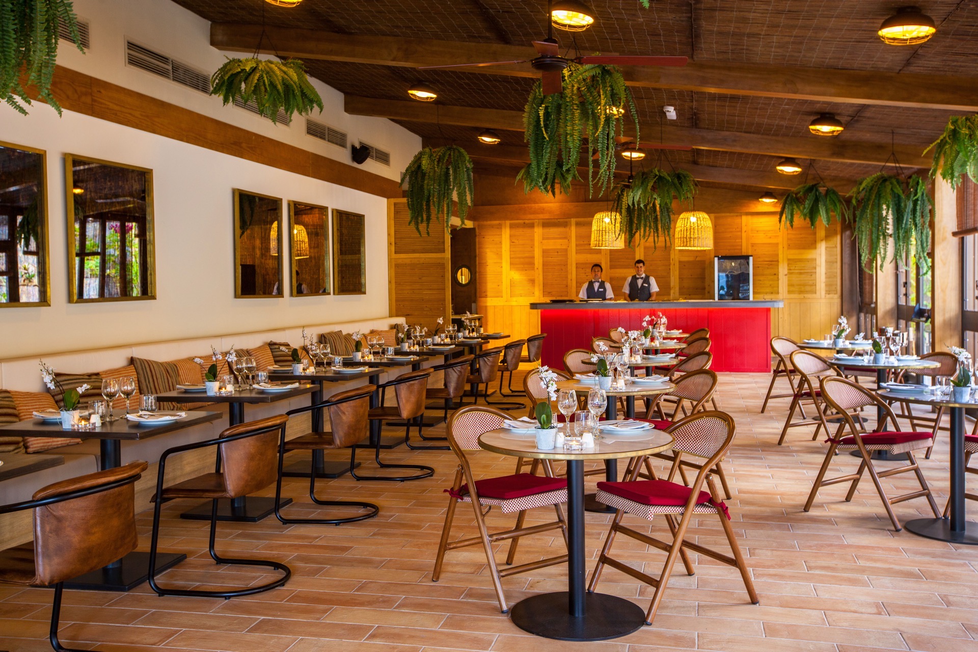 galería de imágenes restaurante mediterraneum hotel corallium dunamar