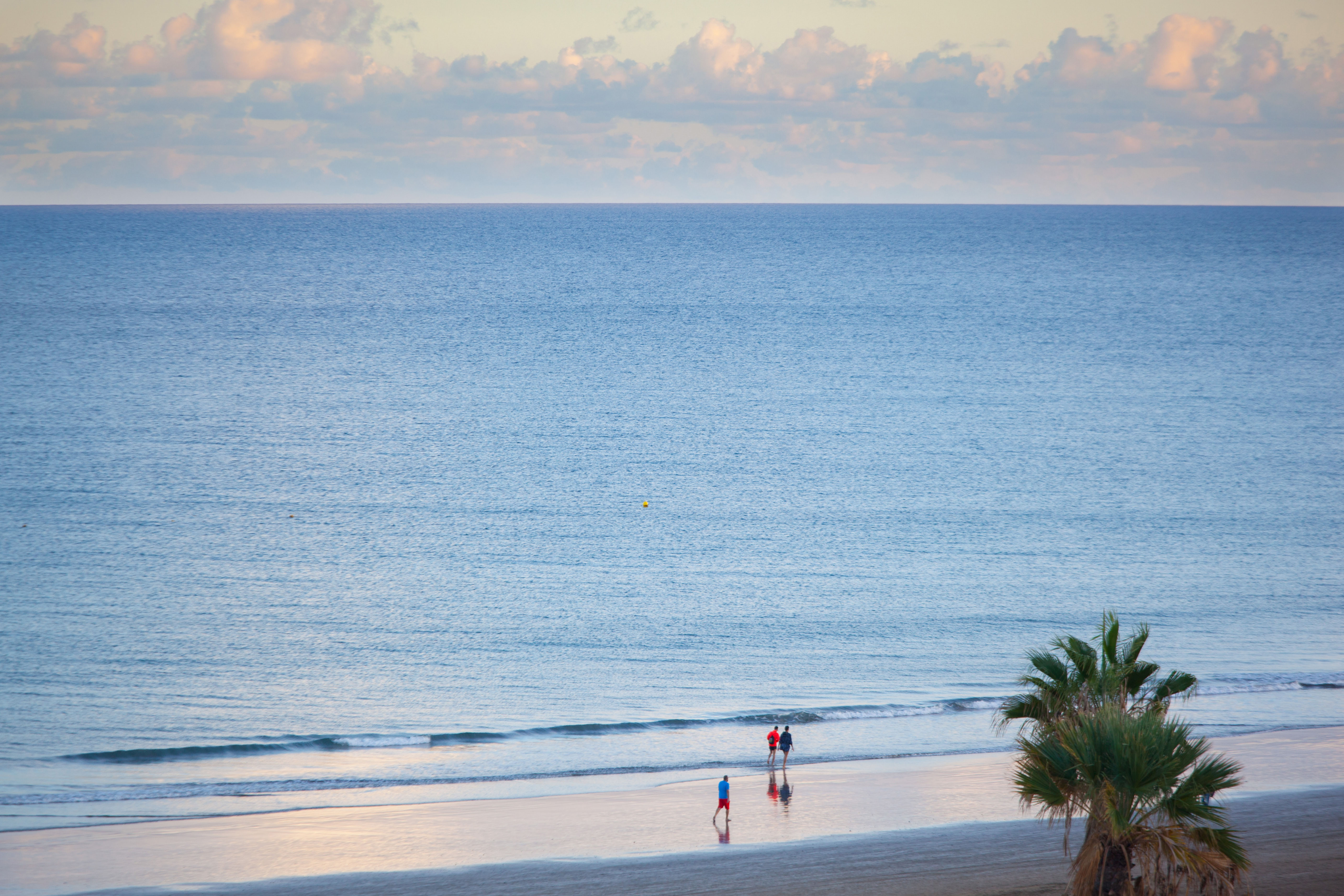 photos views corallium dunamar by lopesan hotels