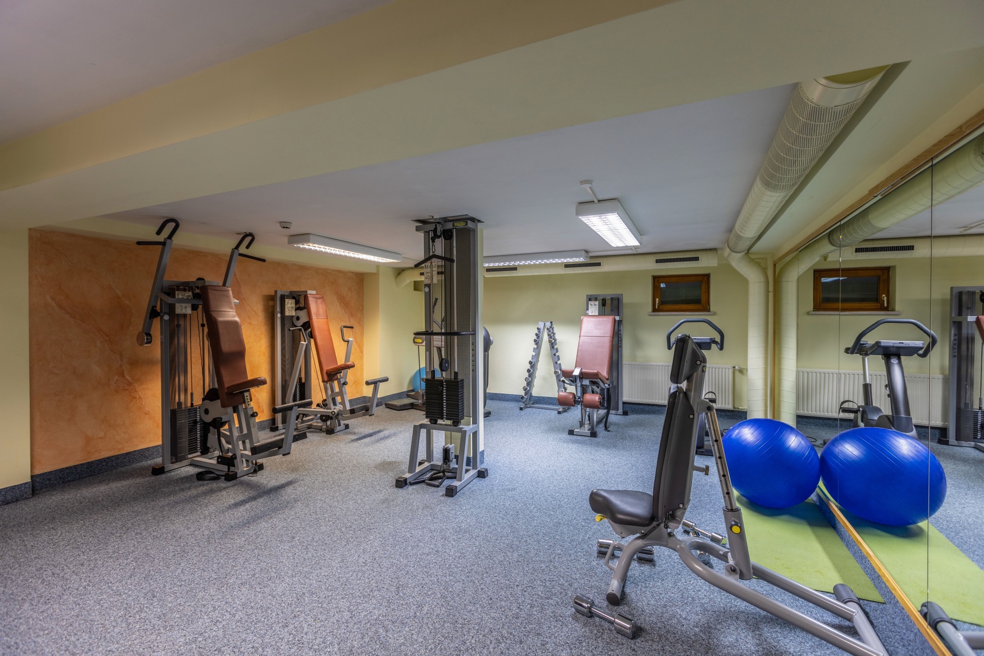 Gimnasio Hotel IFA Alpenrose