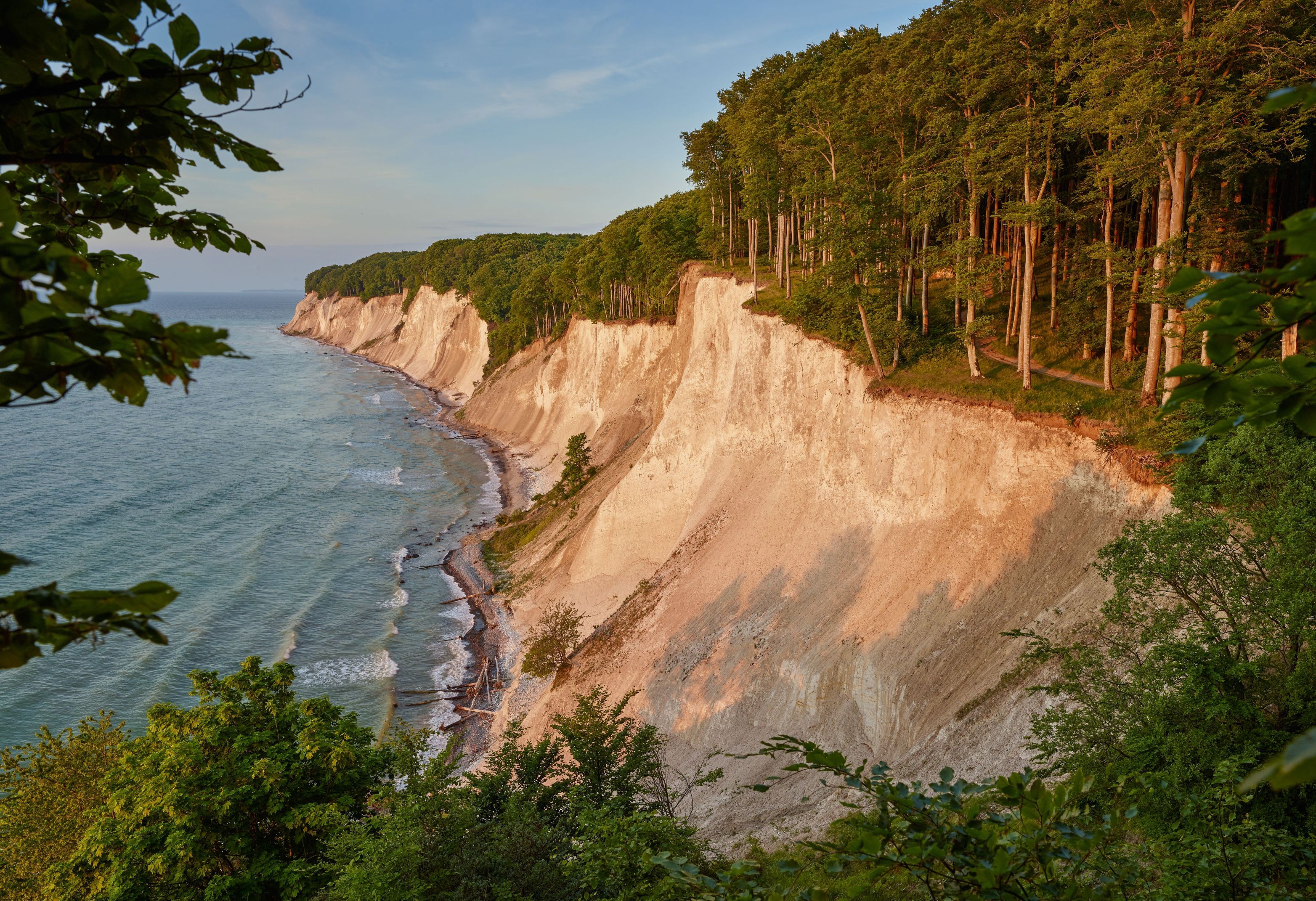 4 Chalk cliff on the island Rügen_5.jpg