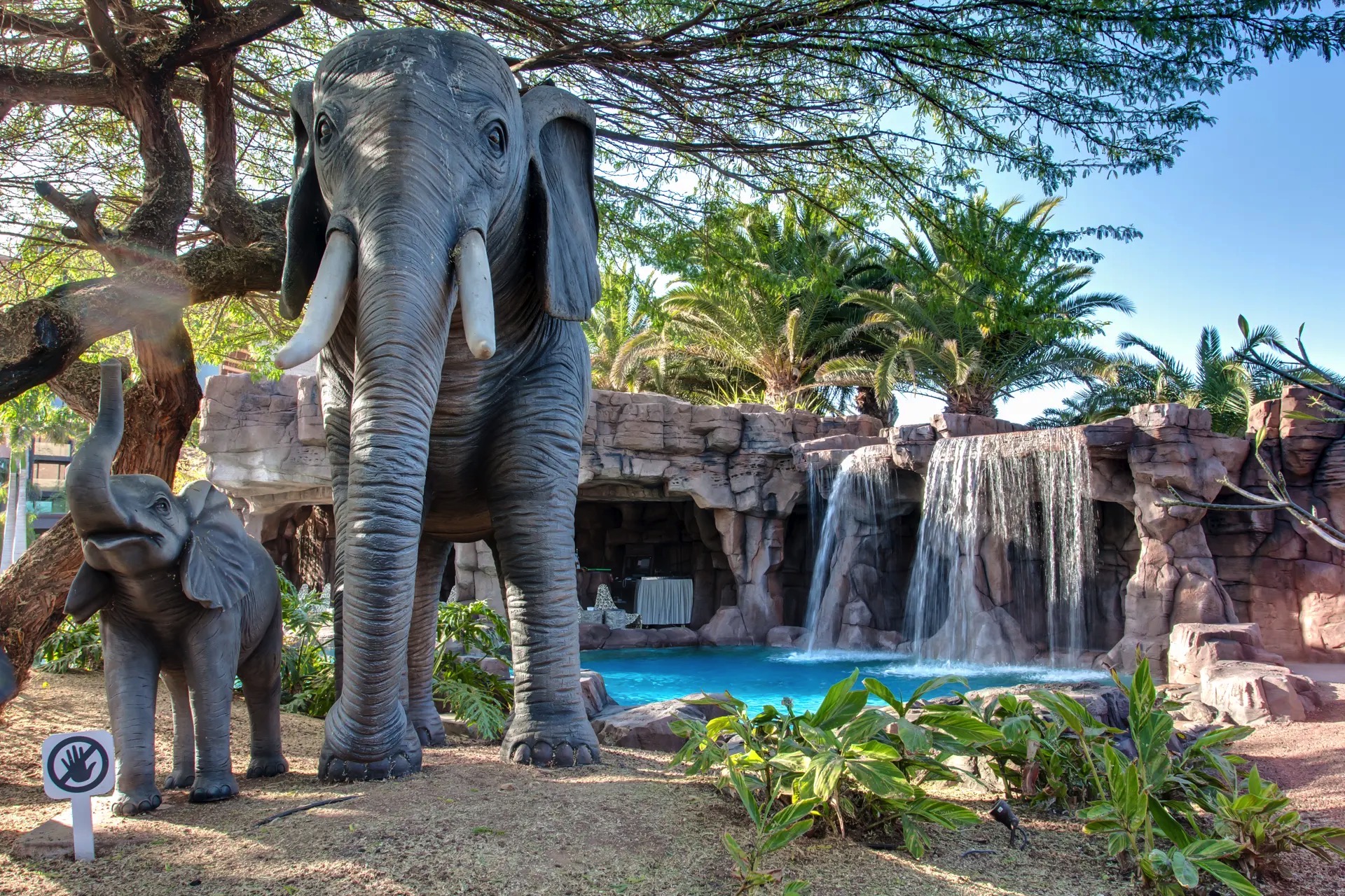 hotel baobab photos animals