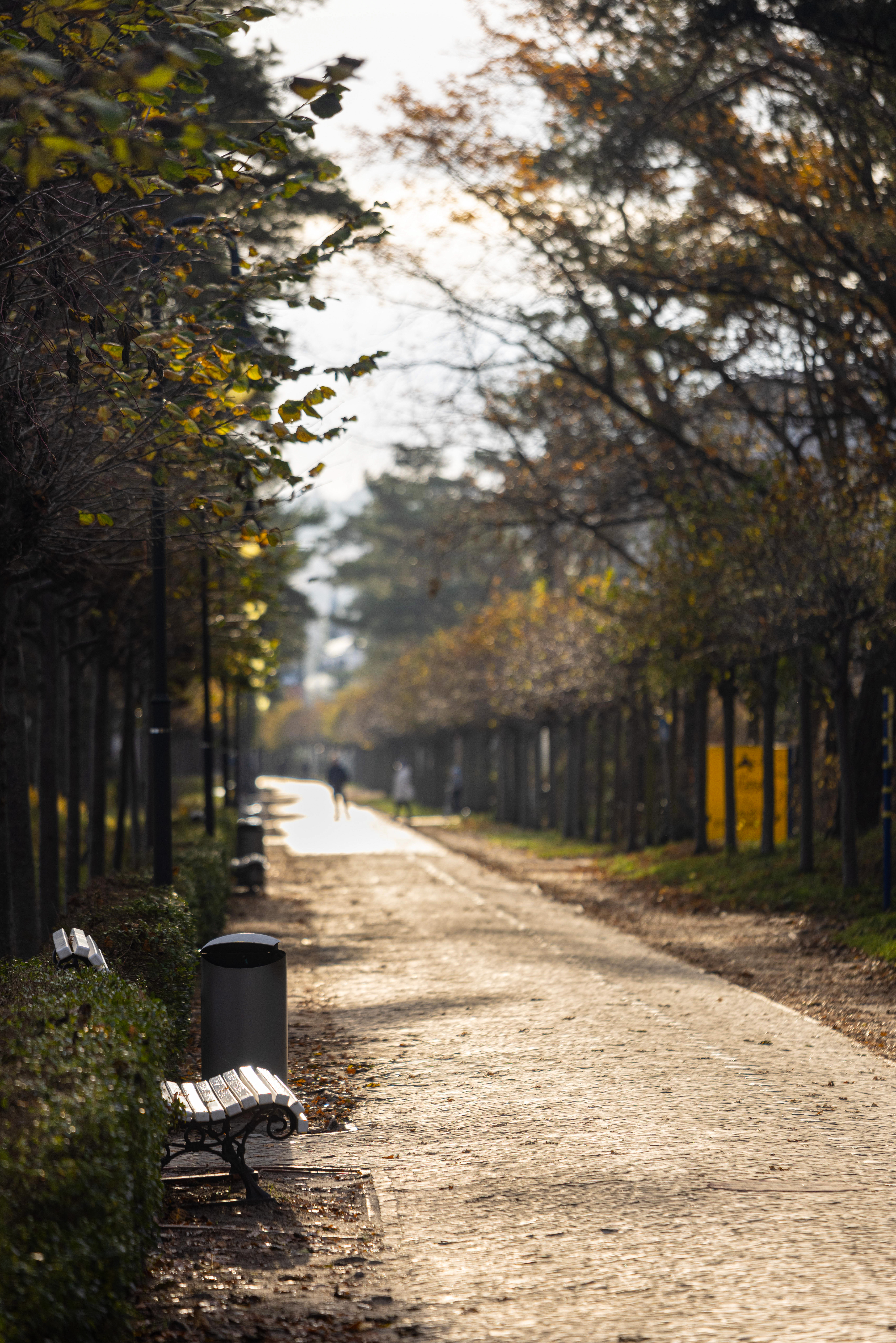 places-of-interest-ifa-rugen-hotel-&-ferienpark