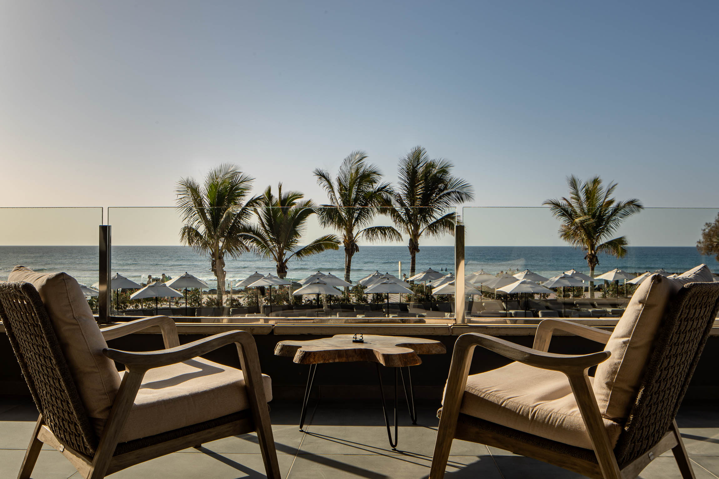 terrace suru cocktail bar hotel faro